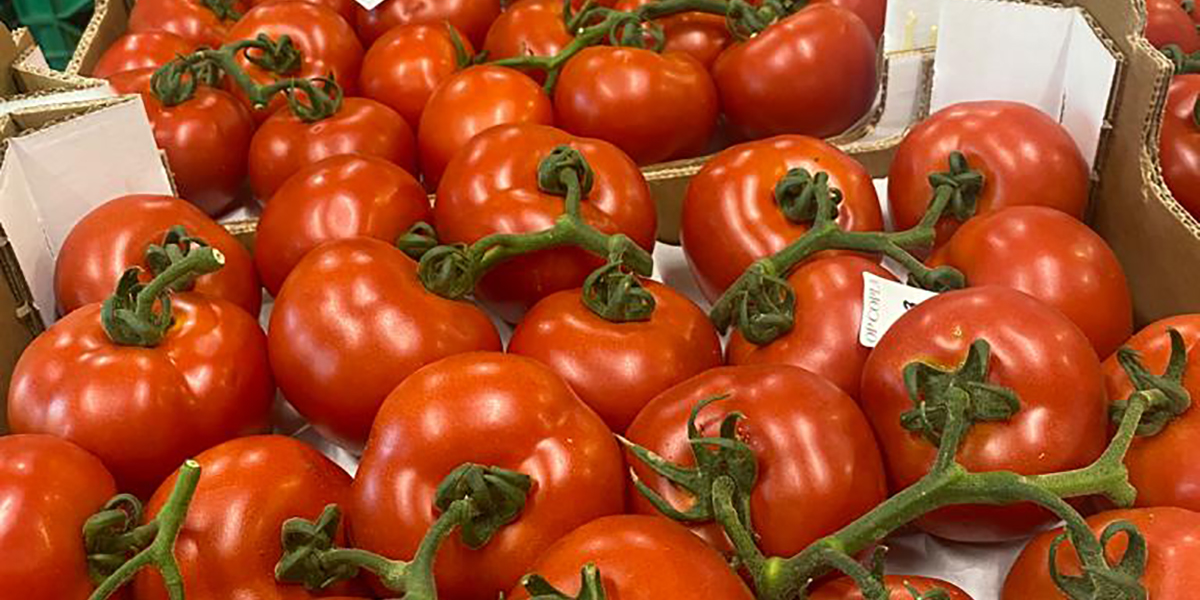 «Pomodori, la produzione finisce prima e inizia più tardi»